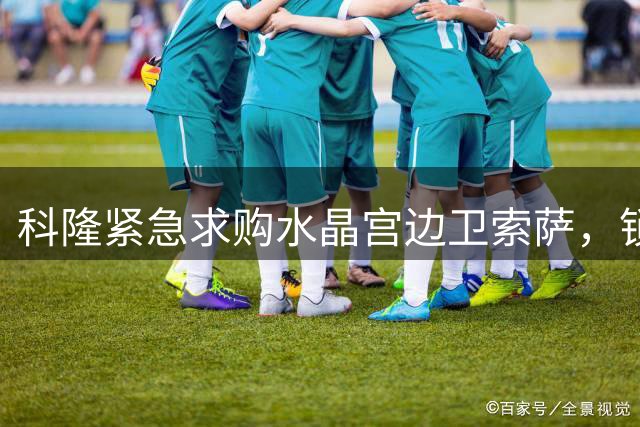 科隆紧急求购水晶宫边卫索萨，锁定德甲补强目标